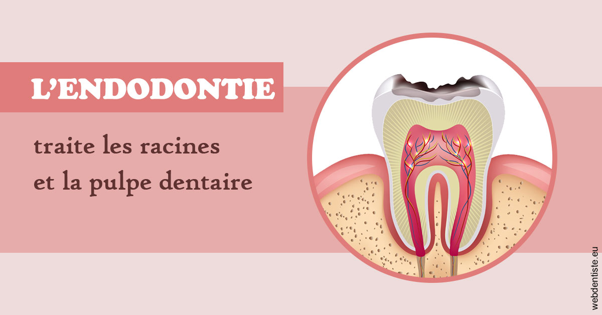 https://dr-maarek-jonathan.chirurgiens-dentistes.fr/L'endodontie 2